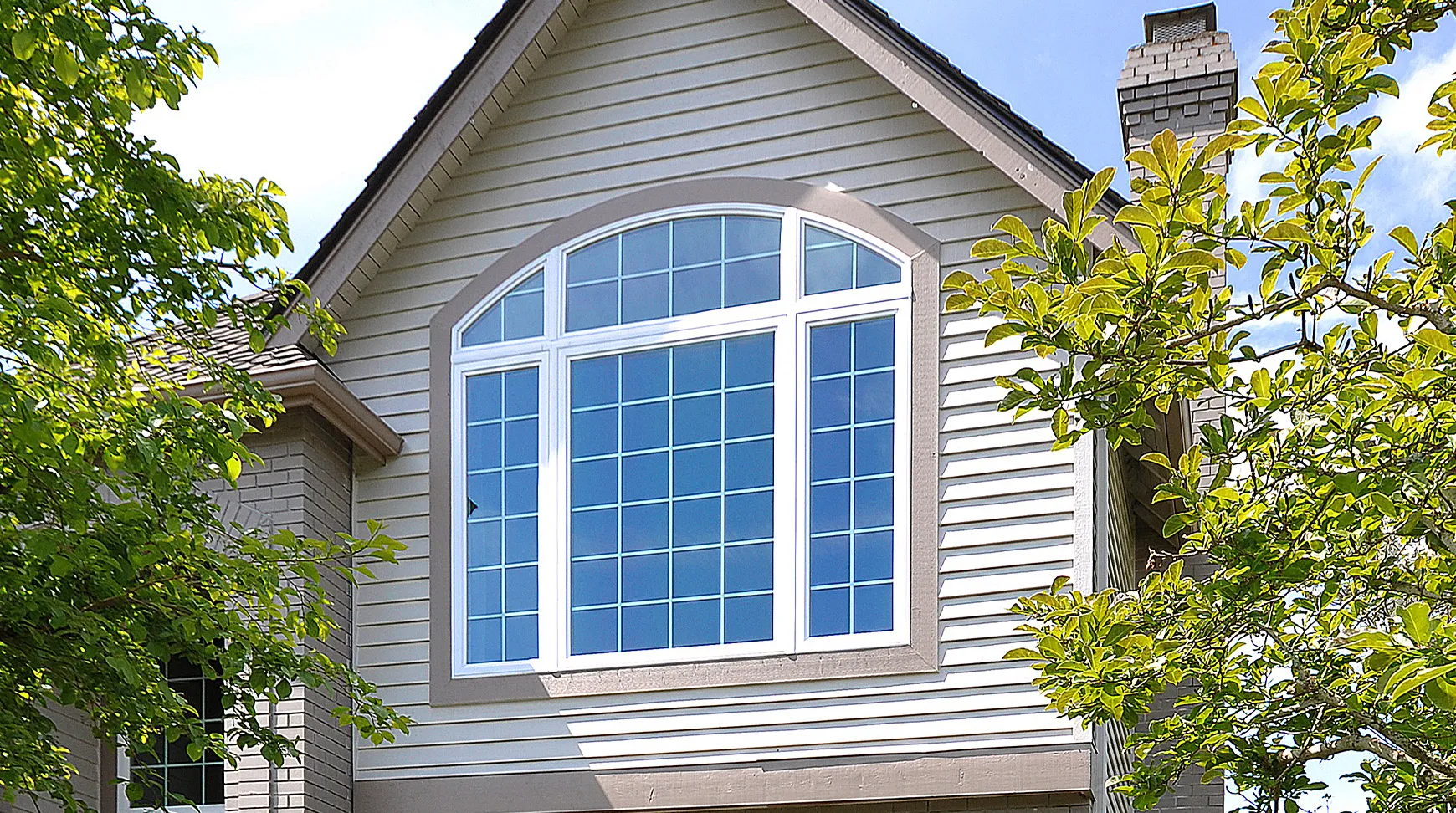 Specialty Shapes Window